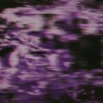 Rand Award Shorts 2025 - Kurzfilmrolle 2